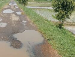 Dinas PUPR Cilacap Diharapkan Bertindak Cepat AtasiJalan Rusak Ciawi tali Cisumur gandrung Mangu.